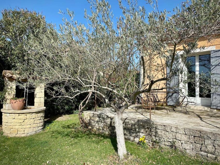 Belle Maison Provencale Au Pied Du Mont Ventoux Caromb المظهر الخارجي الصورة